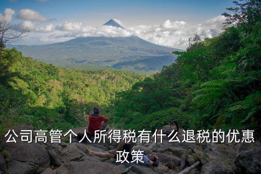 個人所得稅怎么退稅，個人所得稅什么樣的人可以退稅