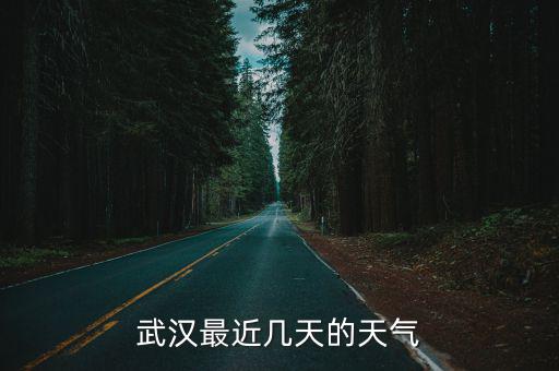 武漢最近幾天的天氣