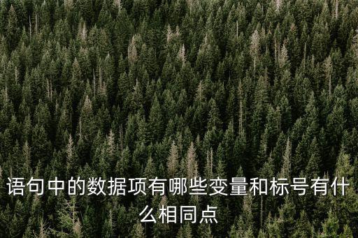 語句中的數(shù)據(jù)項有哪些變量和標號有什么相同點
