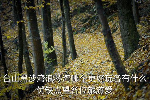 臺(tái)山浪琴灣，臺(tái)山黑沙灣浪琴灣哪個(gè)更好玩各有什么優(yōu)缺點(diǎn)望各位旅游愛(ài)