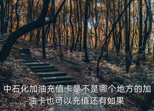 中石化加油充值卡是不是哪個地方的加油卡也可以充值還有如果