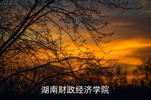 湖南財(cái)政經(jīng)濟(jì)學(xué)院