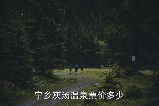 寧鄉灰湯溫泉票價多少