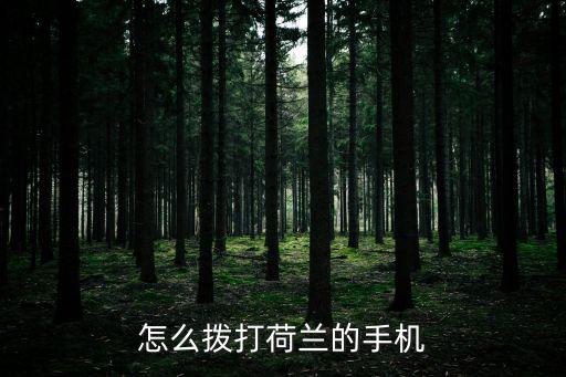 怎么撥打荷蘭的手機(jī)