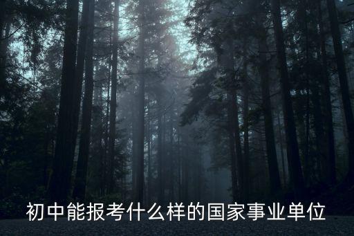 初中報(bào)考，初中能報(bào)考什么樣的國(guó)家事業(yè)單位