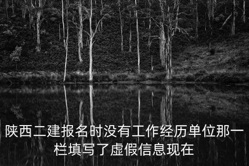 陜西二建報(bào)名時(shí)沒(méi)有工作經(jīng)歷單位那一欄填寫(xiě)了虛假信息現(xiàn)在