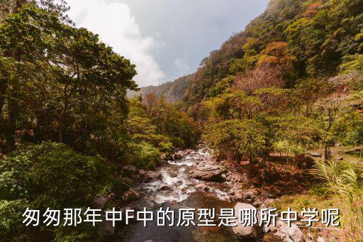 匆匆那年原型，匆匆那年中F中的原型是哪所中學呢