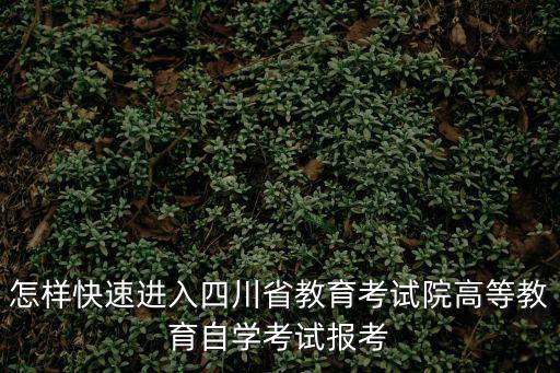 怎樣快速進(jìn)入四川省教育考試院高等教育自學(xué)考試報(bào)考
