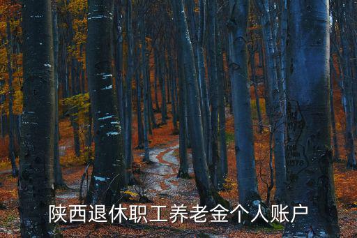 陜西職工養老保險，陜西省社會養老保險
