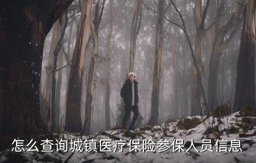 怎么查詢城鎮醫療保險參保人員信息