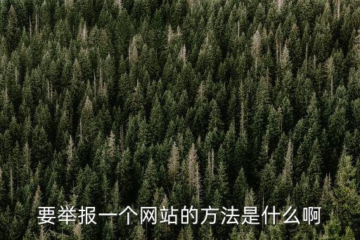 要舉報一個網站的方法是什么啊