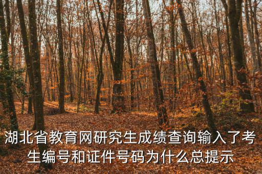 湖北教育網，如何在湖北教育信息網上投稿