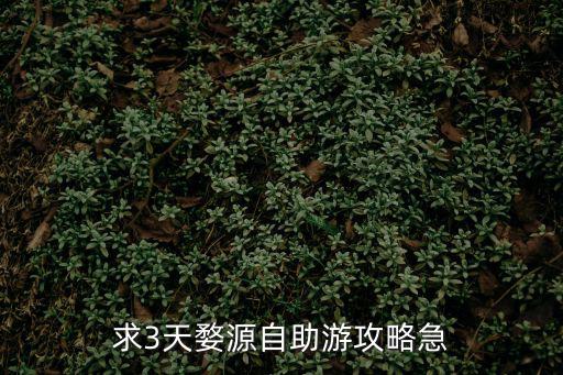 求3天婺源自助游攻略急
