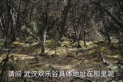 請(qǐng)問 武漢歡樂谷具體地址在那里呢