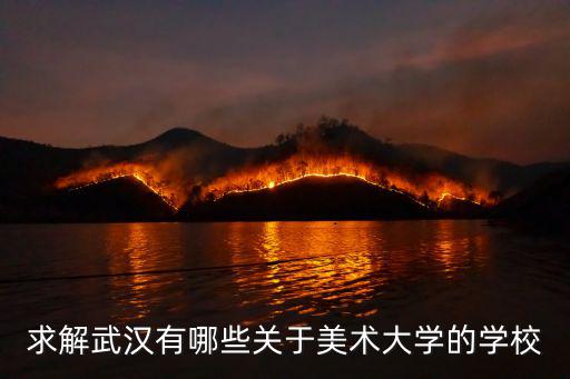 求解武漢有哪些關于美術大學的學校