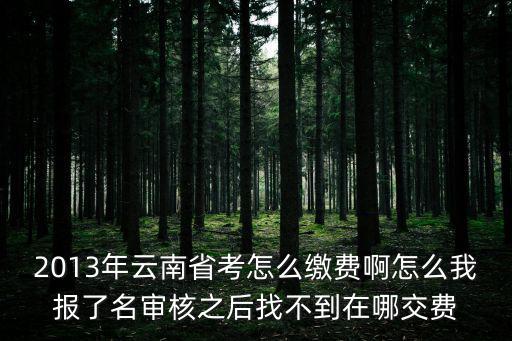 2013年云南省考怎么繳費啊怎么我報了名審核之后找不到在哪交費