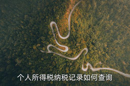 個人納稅查詢，個人如何查詢工資交稅情況