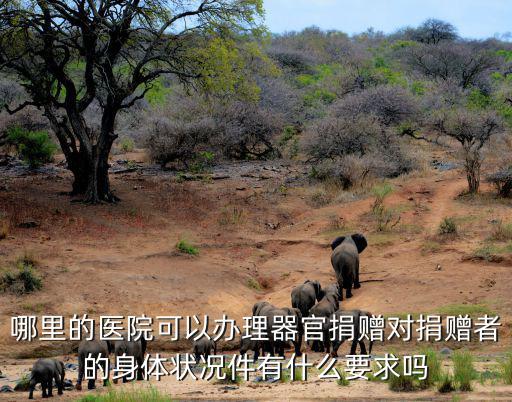 哪里的醫院可以辦理器官捐贈對捐贈者的身體狀況件有什么要求嗎