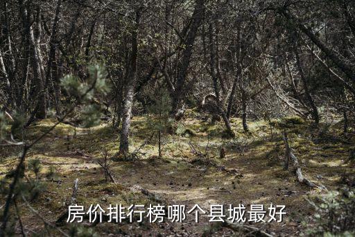 房價(jià)排行榜哪個(gè)縣城最好