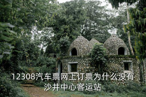 12308汽車票網上訂票，12308汽車票網上訂票為什么沒有沙井中心客運站
