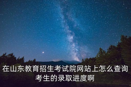 在山東教育招生考試院網站上怎么查詢考生的錄取進度啊