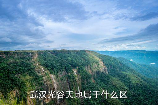 武漢光谷天地屬于什么區