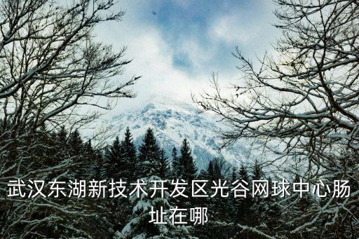武漢東湖新技術開發區光谷網球中心腸址在哪