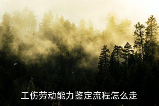 工傷勞動能力鑒定流程怎么走
