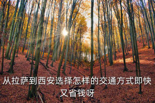 從拉薩到西安選擇怎樣的交通方式即快又省錢呀