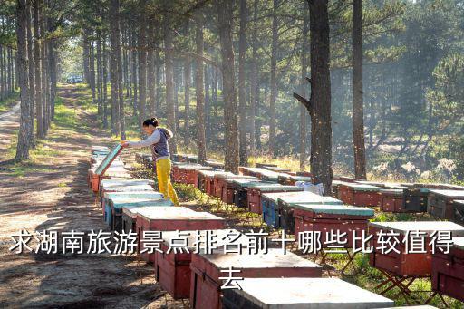 求湖南旅游景點排名前十哪些比較值得去
