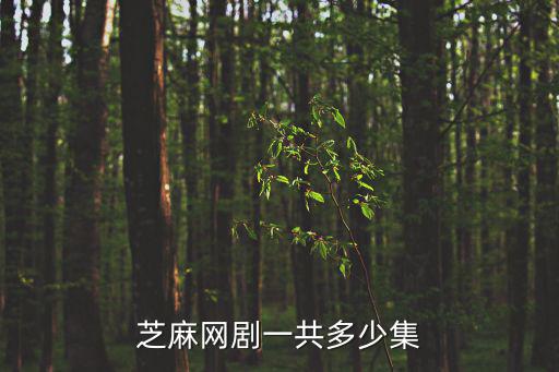 芝麻網劇一共多少集