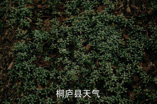桐廬天氣，桐廬縣天氣