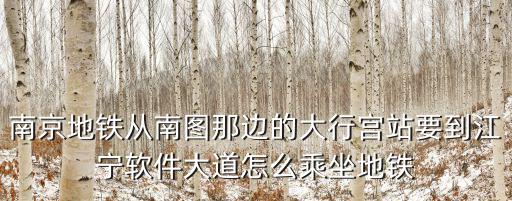 南京地鐵從南圖那邊的大行宮站要到江寧軟件大道怎么乘坐地鐵