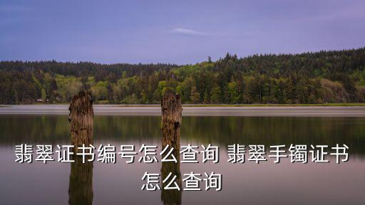 證書查詢編號查詢，怎樣查詢畢業證書上的編號是否是國家承認的