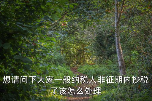 想請問下大家一般納稅人非征期內抄稅了該怎么處理