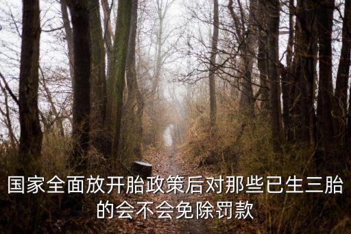 國家全面放開胎政策后對(duì)那些已生三胎的會(huì)不會(huì)免除罰款