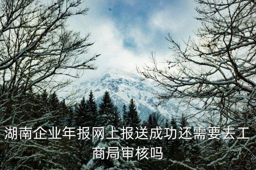 湖南企業(yè)年報(bào)網(wǎng)上報(bào)送成功還需要去工商局審核嗎