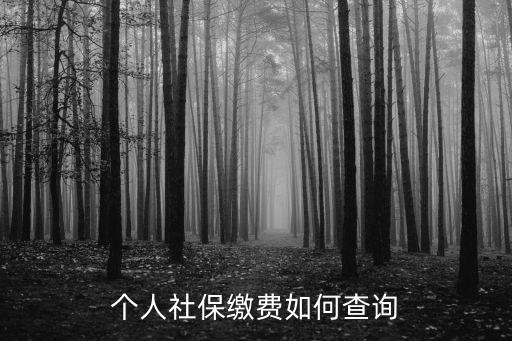 個(gè)人社保繳費(fèi)如何查詢