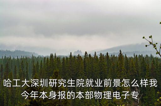 哈工大深圳研究生院就業前景怎么樣我今年本身報的本部物理電子專