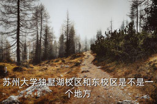 蘇州大學獨墅湖校區和東校區是不是一個地方