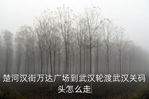 楚河漢街萬達(dá)廣場到武漢輪渡武漢關(guān)碼頭怎么走