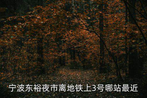 東裕夜市，寧波東裕夜市離地鐵上3號(hào)哪站最近