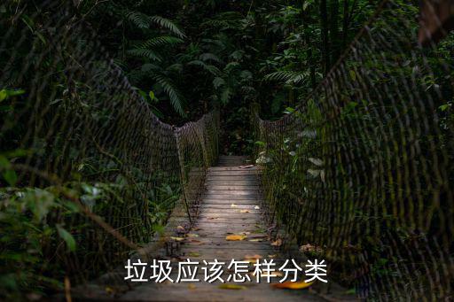 垃圾應該怎樣分類