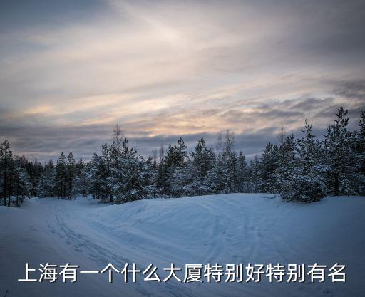 上海超群大廈，上海有一個什么大廈特別好特別有名