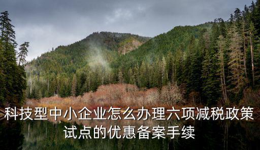 科技型中小企業(yè)怎么辦理六項減稅政策試點的優(yōu)惠備案手續(xù)