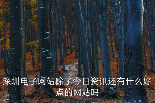 深圳網(wǎng)站，深圳電子網(wǎng)站除了今日資訊還有什么好點(diǎn)的網(wǎng)站嗎