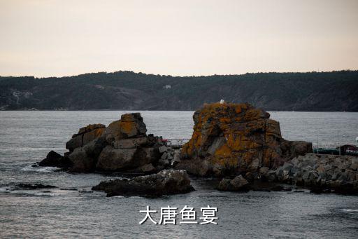 大唐魚宴
