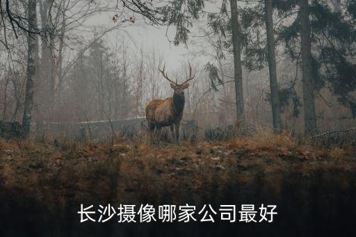 長(zhǎng)沙攝像哪家公司最好