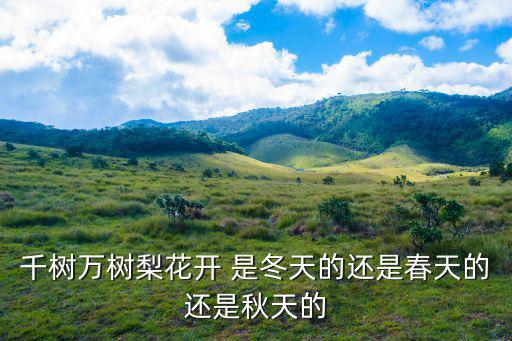千樹萬樹梨花開 是冬天的還是春天的還是秋天的