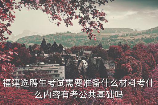 福建選聘生考試需要準備什么材料考什么內容有考公共基礎嗎